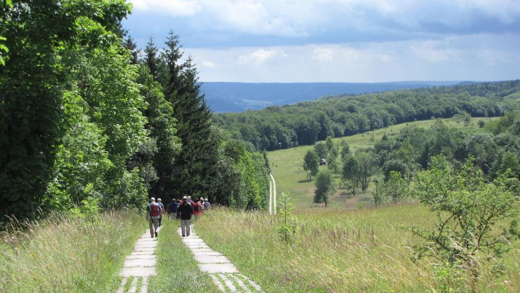 Landhaus Am Westerwald Martinfeld エクステリア 写真